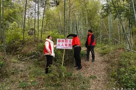 守护绿色家园 石井镇扎实开展森林防火宣传活动图片