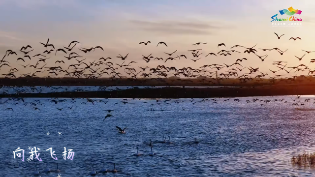 冬日归途，山西是心安的方向