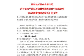 V观财报｜维科技术及时任董事长等被警示图片