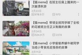 小猫对话为何让人“上头”？嘴替猫猫说透万千心事 | 睡前聊一会儿图片