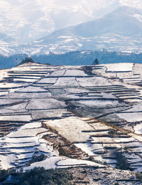 秋日雪景 | 凉山深秋, 一场不期而遇的秋雪