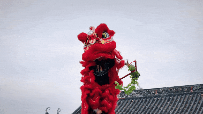 何以中国｜非遗有新人•节庆季：醒狮贺岁年味浓 生生不息震精神