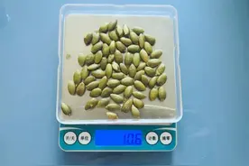 爱吃南瓜籽的有福了，每天 1 小把，竟有这么多意想不到的好处！图片