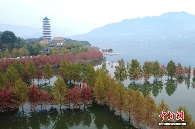 重庆开州汉丰湖国家湿地公园水中彩林美如画