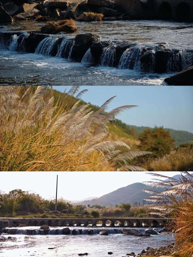 周末露营天花板，来福安“野” 一天！
