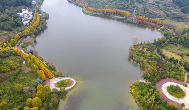 天眼影像|黔西:湿地公园冬景美