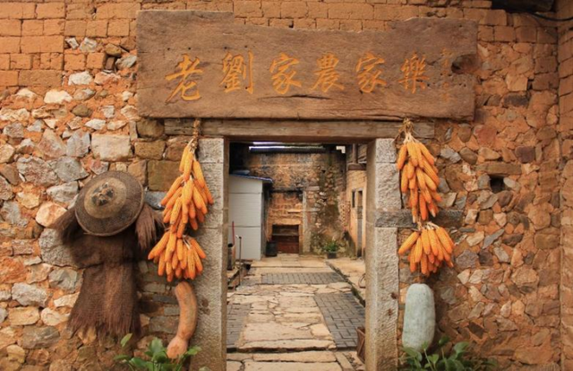 千年银杏韵，金黄满地诗，金色海洋游玩攻略来了！