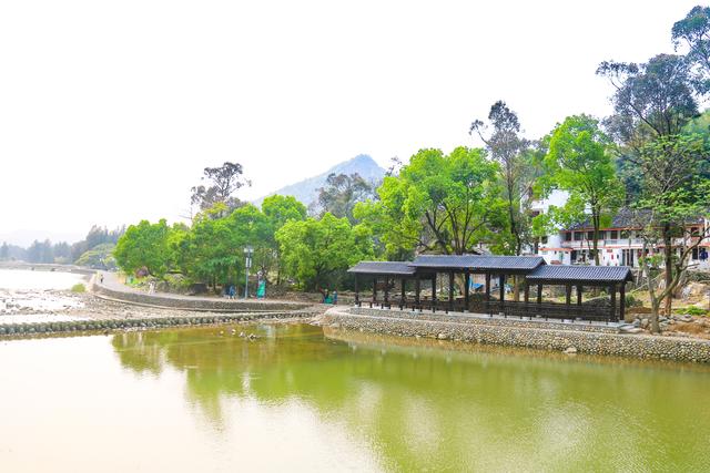 福鼎前岐：花果织锦绣 古村焕新颜