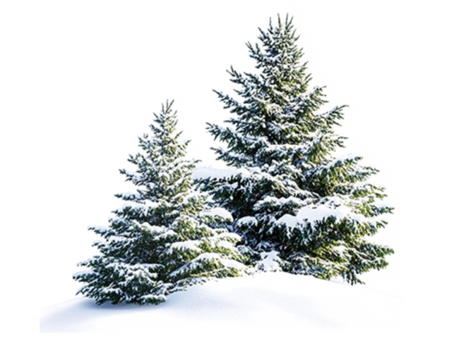 冬至丨解锁桂林的多彩冬天！