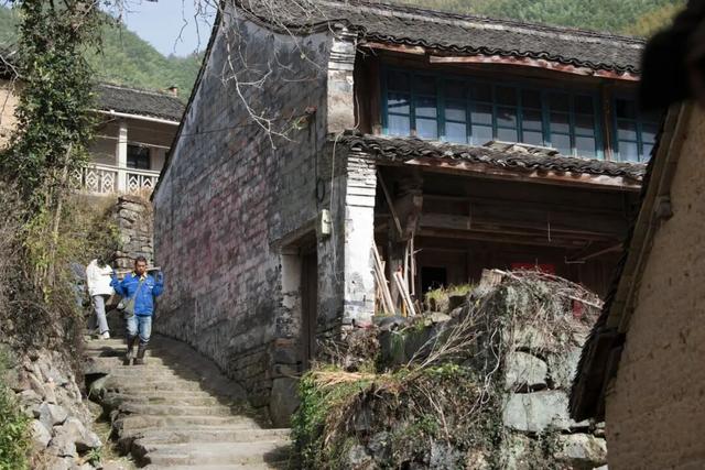 Hi走奉化② | 这条小众赏秋路线，藏有古树群“天花板”！