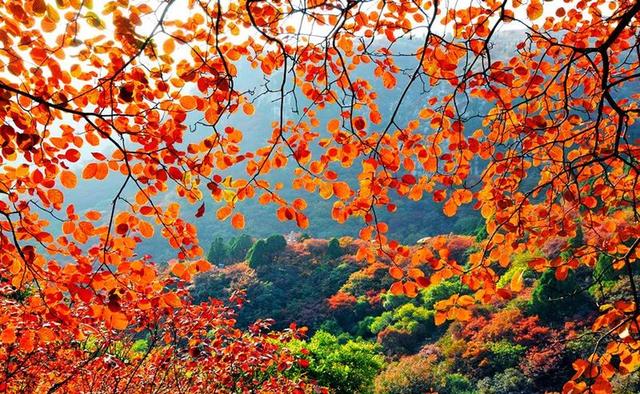 国庆节游潍坊丨踏遍层峦尽染处，共赴秋日山之约