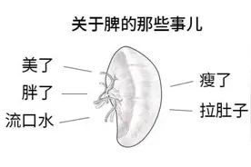 你的脾可能正在受到伤害！关于脾的那些事儿你清楚吗？图片