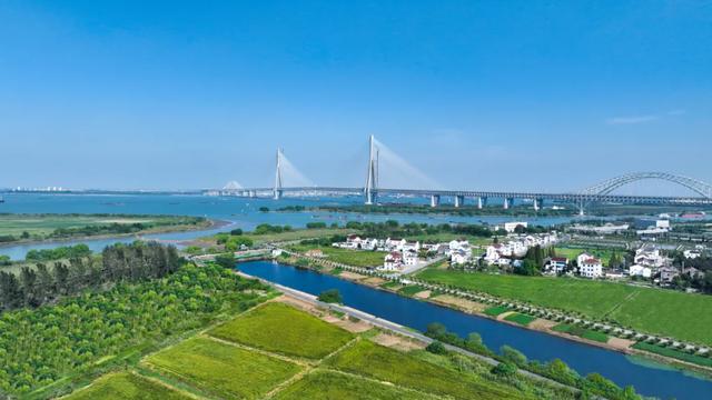 龙凤呈祥 “桥”见未来|这么近那么美,周末到新北!