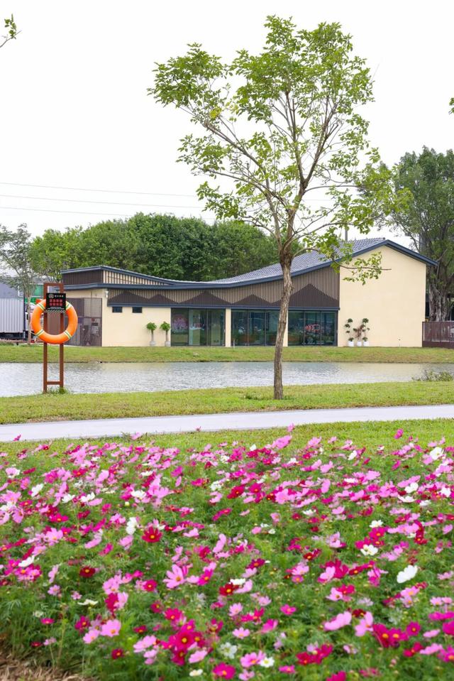 来东莞这片金色稻田，饮啡叹茶！