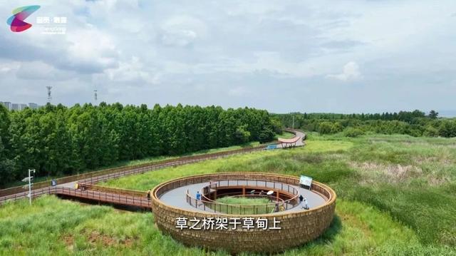 把暑期交给呈贡 | 在滇池绿道尽情体验跑步的畅快