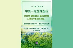 2025年中央一号文件发布：千方百计推动农业增效益、农村增活力、农民增收入图片