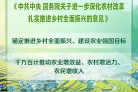 2025年中央一号文件发布：千方百计推动农业增效益、农村增活力、农民增收入图片