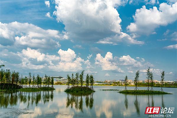 自然就在窗外！大泽湖近自然湿地公园：在城市客厅，邂逅羽翼天堂
