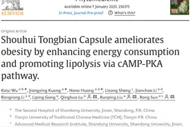 山东大学第二医院孙蓉教授课题组在Phytomedicine上发表首荟通便胶囊改善肥胖研究型论文图片