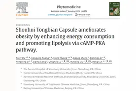 山东大学第二医院孙蓉教授课题组在Phytomedicine上发表首荟通便胶囊改善肥胖研究型论文图片