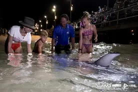 旅游｜告诉你一个位于澳大利亚昆士兰的小众海岛——摩顿岛图片