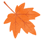 你手里的票根，又升值了！