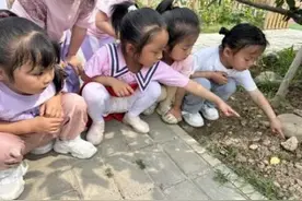 悦夏天之趣，享自然课程——灞桥区席王街道中心幼儿园中二班“夏耘”活动纪实图片