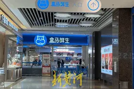 盒马“纠偏”：暂停会员续费4个月后，今又“重启”| 大鱼财经图片