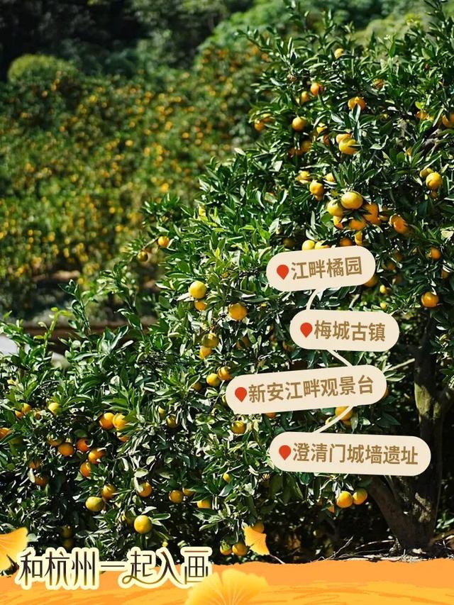 秋冬盛宴来袭，6条宝藏线路玩转杭城！