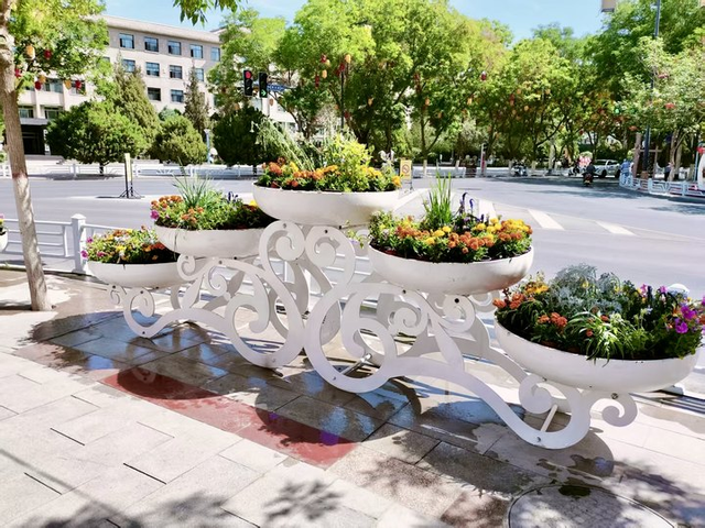 敦煌：四步走出城市绿化的蜕变之路