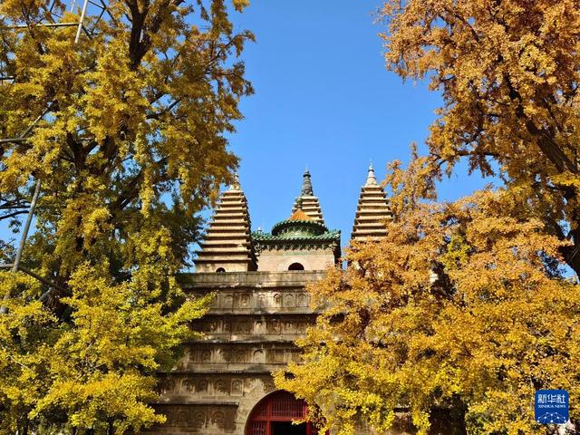 北京：五塔寺秋色浓