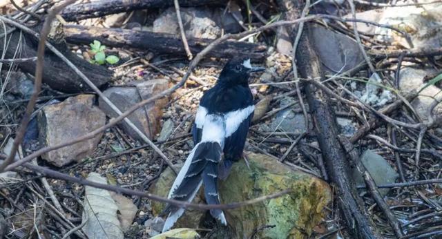 无锡最新追“星”指南，速收藏！