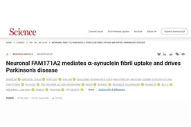 帕金森病治疗迎来曙光！复旦大学团队发现全新靶点和候选新药图片