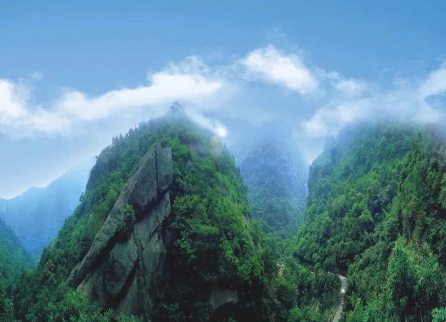 免票、打折！奉化教师们，这波福利别错过→