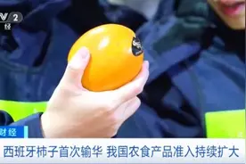 首次进入国内市场！这些进口水果，一整个大期待！图片