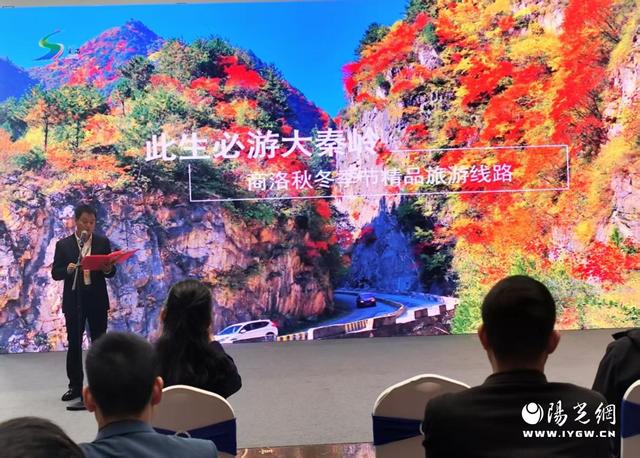 2025关中平原城市群文旅营销活动暨多彩商洛红叶季在秦岭博物馆启动