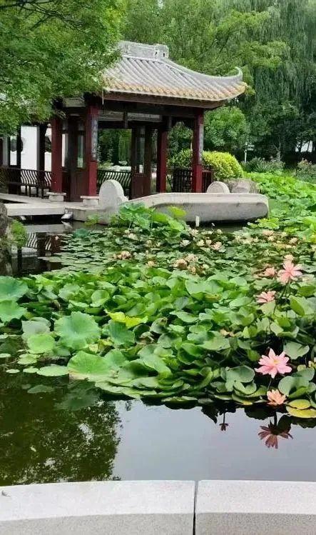 跟着浪浪山小妖怪游丰台