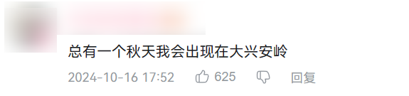 月入3万，去不起新疆「平替」？