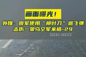 画面曝光！外媒：俄军使用“柳叶刀”巡飞弹击伤一架乌空军米格-29图片