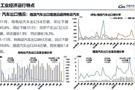 盘点2024：中国汽车出海的“窗口年”图片