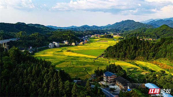 湖南通道侗寨：金秋“丰”景，藏在山水间的诗意画卷