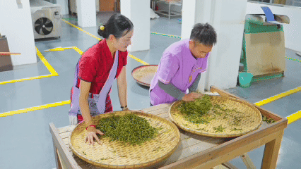 新华全媒+｜景迈山申遗成功两周年——景迈有“新”人