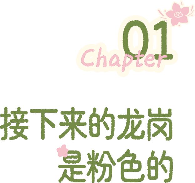 “接下来深圳这个地方，是粉色的”