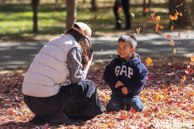青岛故事｜五彩斑斓的秋日青岛，你怎能不爱？