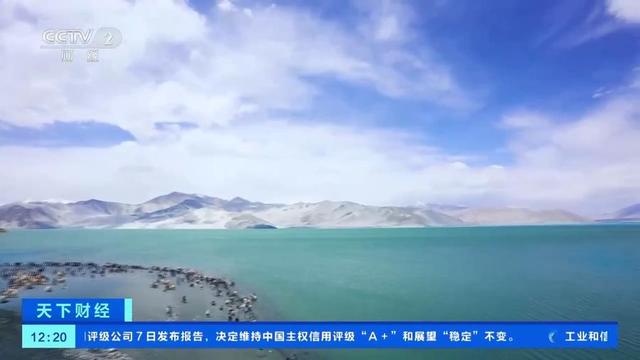 “种草”中国理由再+1！外国游客坐火车解锁不一样的深度游