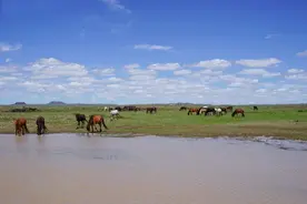 最炫内蒙民族风，草原上每天都是嘉年华图片