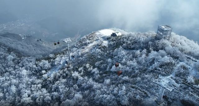 “南国雪乡”出圈！浙江冰雪经济点燃长三角冬日激情