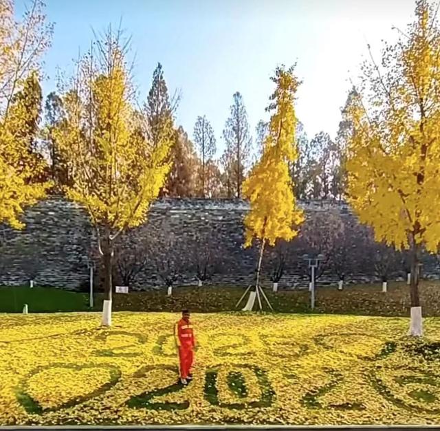 南京环卫大爷扫出“人气经济”新注解｜电讯评论