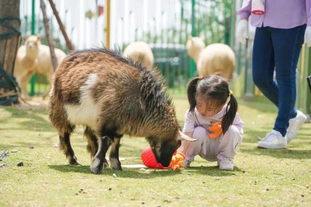 出发宿城！解锁“野趣+落日”的新玩法