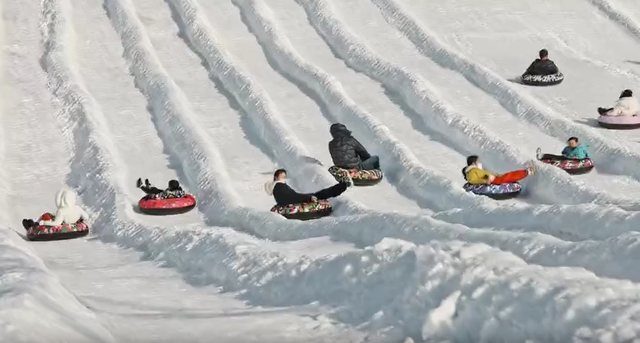 “南国雪乡”出圈！浙江冰雪经济点燃长三角冬日激情